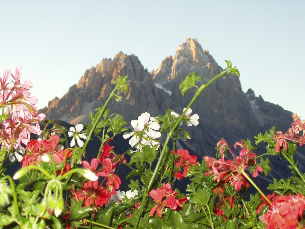Galler am Berg Innichen Zimmer foto